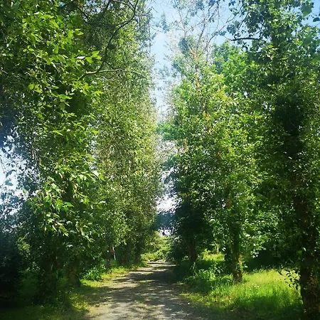 Nocleg ze śniadaniem La Bellevue - 3*