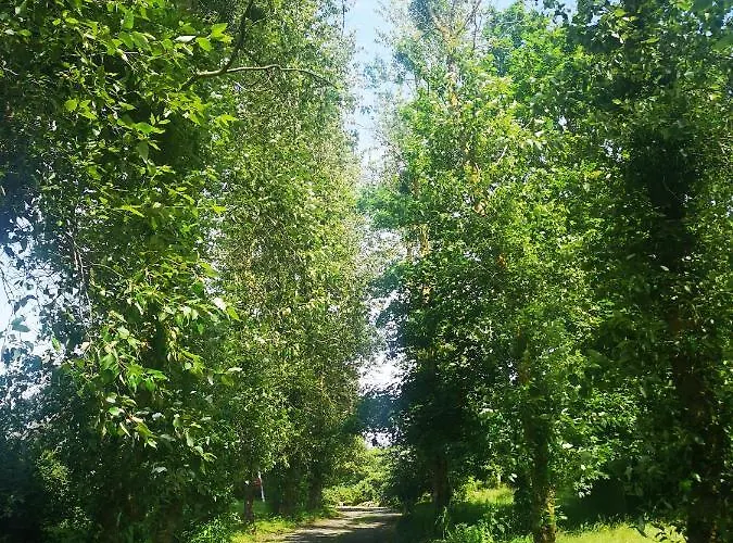 Bed and breakfast La Bellevue - 3*